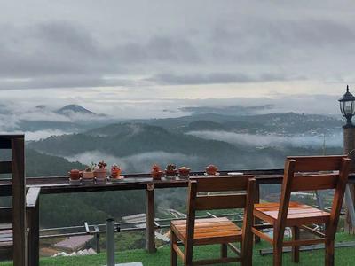 Bán homestay quán cafe view đà lạt dòng tiền ổn định quỹ đất lớn tiềm năng 0