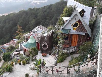 Bán homestay quán cafe view đà lạt dòng tiền ổn định quỹ đất lớn tiềm năng 1