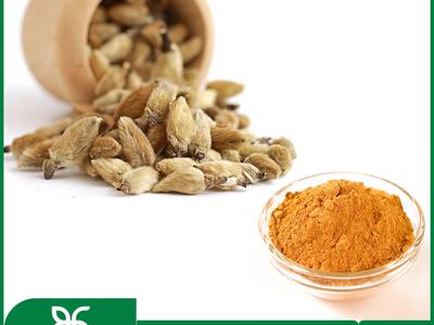 Cung cấp cao khô Tân di hoa hàng chất lượng cao giá tốt 0