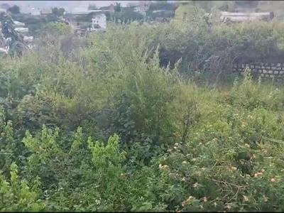 Bán đất view rừng thông măng lin, p. cam ly, đà lạt 0