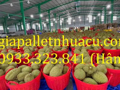 Cần Xé Nhựa Kê Nông Sản Giá Rẻ Nhất Thị Trường 7