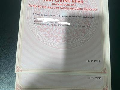 Bán Đất Trung Tâm Xã Tân Hội Thôn Tân Trung 1.623,6 M Mặt Tiền 56 M Đã Phân Lô 4