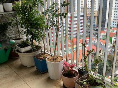 Bán căn hộ chung cư thông tấn xã việt nam, định công, hà nội 4