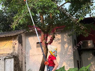 Máy cắt cành trên cao Stihl HT75 0
