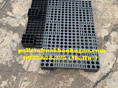 Giá Sốc Cuối Tháng Pallet Nhựa Bình Chánh Giảm Mạnh Giao Ngay Trong Ngày 5