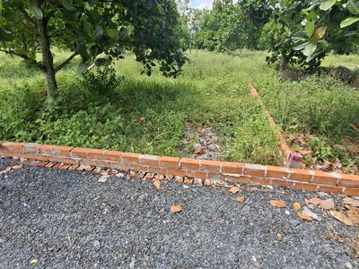 Đất chơn thành 200m 5 40 m chỉ 340 triệu, tặng kèm vườn mít 3