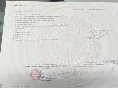 Siêu phẩm nhà vườn gần 400m, đường rộng 5m Nam Đồ Sơn, Hải Phòng 1