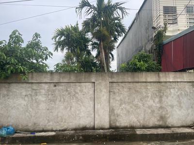 Siêu phẩm nhà vườn gần 400m, đường rộng 5m Nam Đồ Sơn, Hải Phòng 2