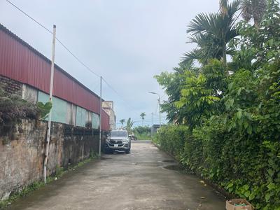 Siêu phẩm nhà vườn gần 400m, đường rộng 5m Nam Đồ Sơn, Hải Phòng 4