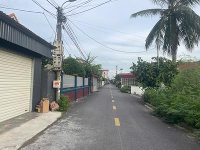 Siêu phẩm nhà vườn gần 400m, đường rộng 5m Nam Đồ Sơn, Hải Phòng 5