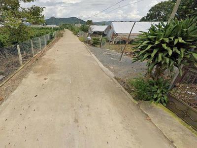 Bán đất 115m2 an hiệp liên hiệp đức trọng  lâm đồng giá chỉ 900 triệu 0