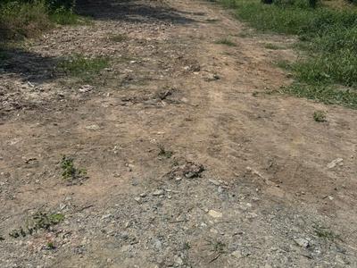 Bán đất thị trấn hậu nghĩa cũ - xã hậu nghĩa mới 2