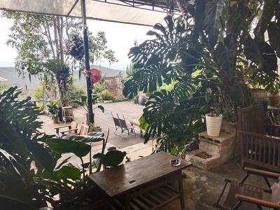 Cho thuê mặt bằng siêu đẹp trần quang diệu, đà lạt 2