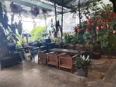 Cho thuê mặt bằng siêu đẹp trần quang diệu, đà lạt 3