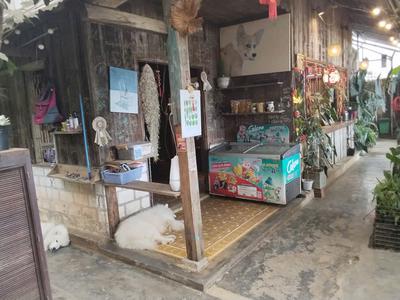 Cho thuê mặt bằng siêu đẹp trần quang diệu, đà lạt 4