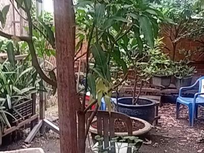 Chính chủ bán nhà mặt tiền đường tx52, phường thạnh xuân, quận 12, tp.hcm - vị trí đẹp dễ khai thác 2