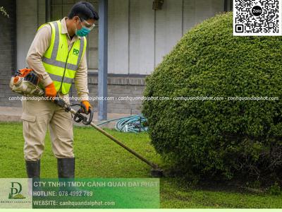Dịch vụ Cắt cỏ Nhơn Trạch Đồng Nai 0