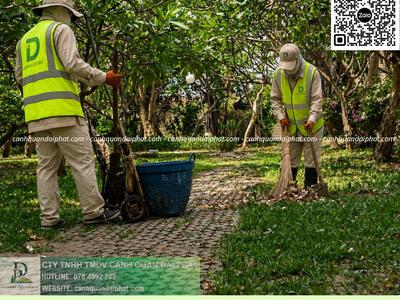 Dịch vụ Cắt cỏ Nhơn Trạch Đồng Nai 2
