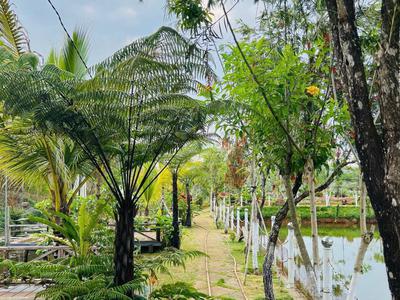 Sở hữu đất nghỉ dưỡng Bảo Lộc đón đầu xu hướng sống xanh 2