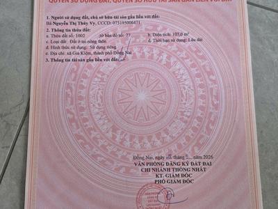 Bán đất chính chủ   giá đầu tư chỉ 530 triệu - gia kiệm, thống nhất, đồng nai 3