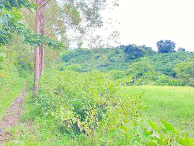 2,6 sào hẻm ql28b - ninh gia, lâm đồng - nghỉ dưỡng - làm vườn ok nha 0