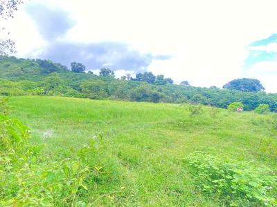 2,6 sào hẻm ql28b - ninh gia, lâm đồng - nghỉ dưỡng - làm vườn ok nha 1