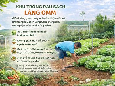  Làng Omm Bảo Lộc   Sở hữu bất động sản nghỉ dưỡng đầy tiềm năng 3