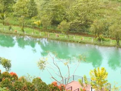 Cơ hội đầu tư hấp dẫn đón đầu xu hướng sống xanh 1