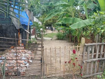 Siêu khẩu vị đầu tư: đất nền 156m  - cách vinhomes green city chỉ 50m 2
