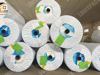 Manh PP dệt LOUISPACK chống thấm nước 0