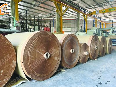 Manh PP dệt LOUISPACK chống thấm nước 1