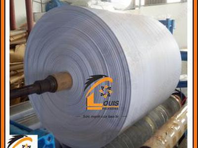 Manh PP dệt LOUISPACK chống thấm nước 3
