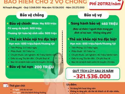 Tư vấn viên chuyên tư vấn thẻ sức khỏe rời cho bé Dai-ichi Life tại Quận 2 TP.HCM 3
