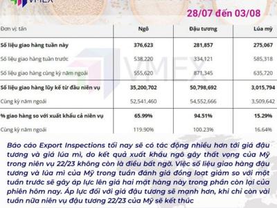 Xem báo cáo nông sản ở đâu 0