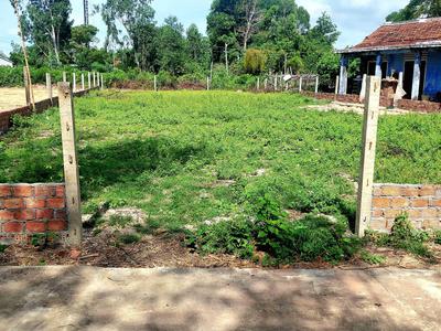 Đất Thái Cẩm 200m , gần ĐT605, chỉ 15 phút đến Đà Nẵng 4