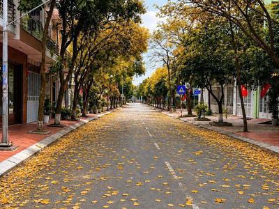 Đất mặt phố ngô hoán kđt đông nam cường 88m2 giá 4.x tỷ 1