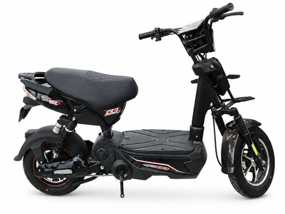 Xe đạp điện giá bao nhiêu 0