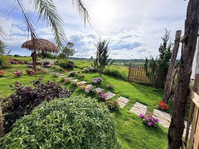 Đất nghỉ dưỡng bảo lộc - view hồ, đồi chè, rừng thông 2
