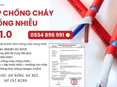 Cáp Chống Cháy Chống Nhiễu 2x0.75 / 1.0 / 1.5 / 2.5mm Phân Phối Quảng Bình, Quảng Ngãi, Quảng Nam 0