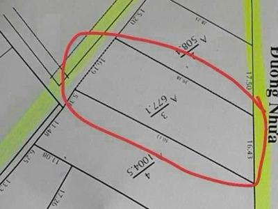 Đất phú hòa đông, củ chi 667m2 - mặt tiền bưng tràm, tiềm năng thành lô góc 2 mặt tiền, 1,9 tỷ 3