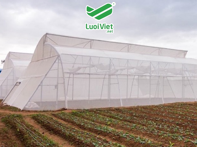 Lưới chắn côn trùng HDPE màu trắng 2