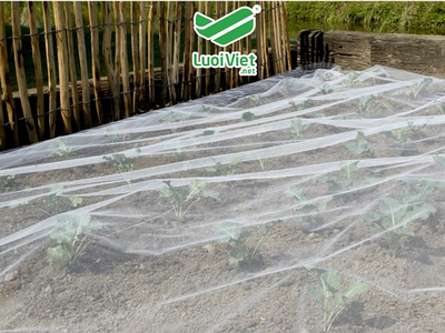 Lưới chắn côn trùng HDPE màu trắng 4