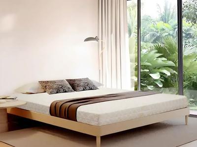 Đau lưng do nệm cứng  Hãy thử ngay topper nệm cao su 2cm giá tốt 3