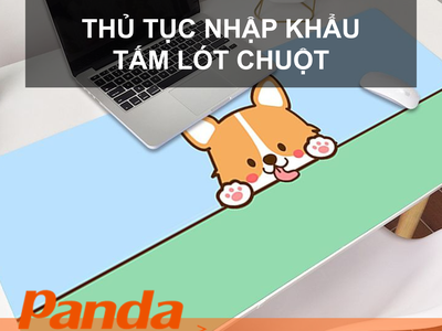 Thủ tục nhập khẩu tấm lót chuột 0
