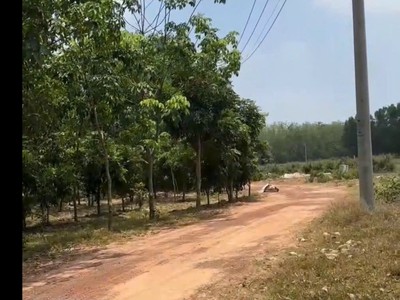 Chính chủ bán đất sxkd đối diện vsip 2, tân uyên, bình dương 3