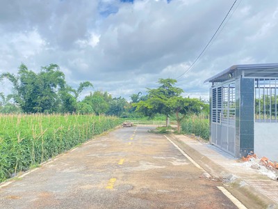 Nhà mới xây - hẻm pre, phú hội cũ, đức trọng, lâm đồng 5