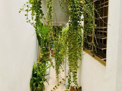 Bán nhà mới 52m hoà hưng không gian sáng thoáng, thiết kế hiện đại, giá 6.35 tỷ 0