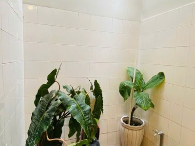Bán nhà mới 52m hoà hưng không gian sáng thoáng, thiết kế hiện đại, giá 6.35 tỷ 1