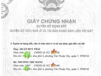 Bán nhà phường tân thuận tây, quận 7   vừa ở vừa kinh doanh, có sẵn dòng tiền 1