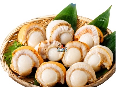 Cách Chế Biến Cồi Sò Điệp Hấp Không Bị Dai 0